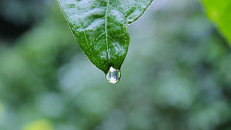 按摩房的价格多少钱