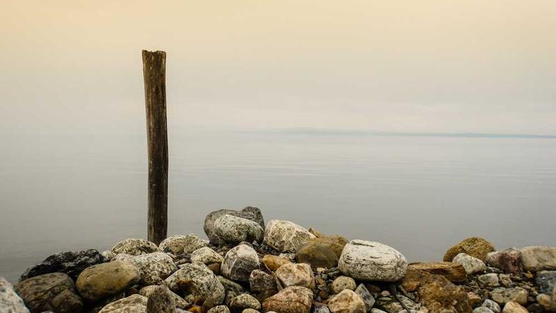夜晚适合一个人看的小说
