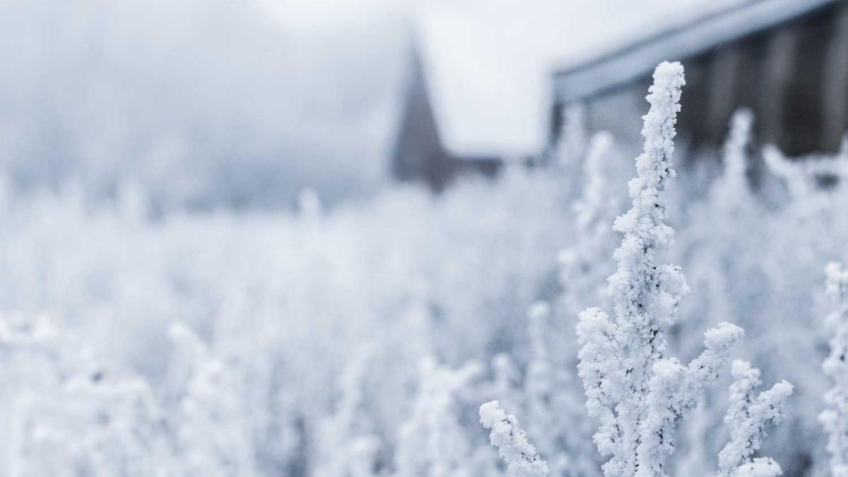 女儿跟父亲拥抱男女以为出轨是什么短剧