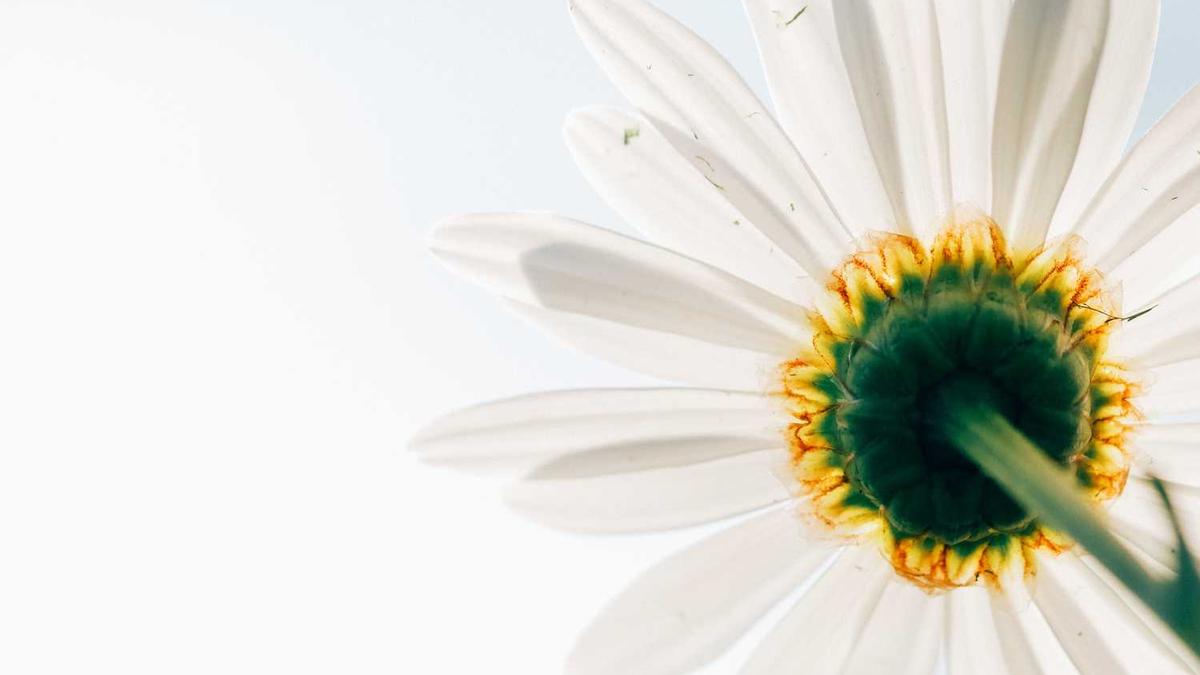 附近约会软件哪个好用?