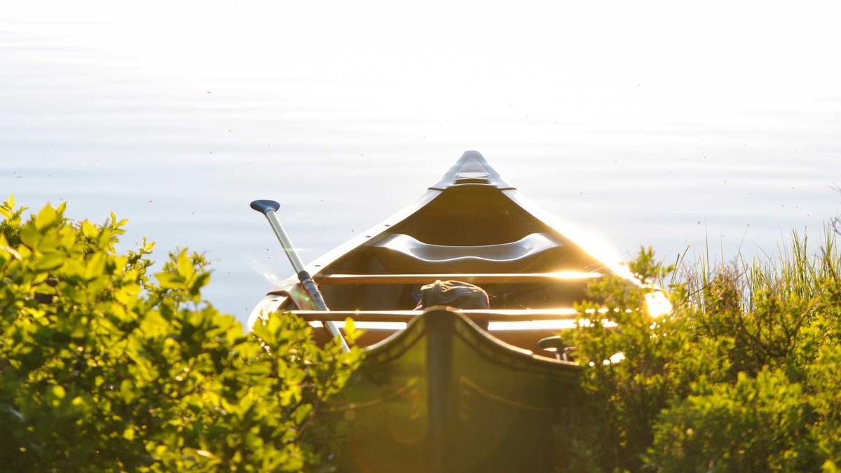 剪映专业版怎么进行智能AI配音?剪映智能AI配音教程