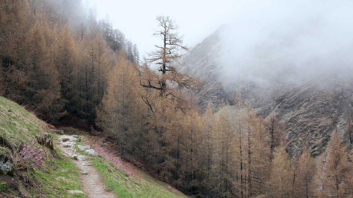 医学检验学和医学检验技术的区别