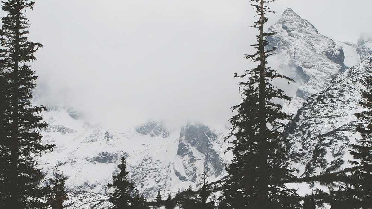 上海租房全攻略(一)