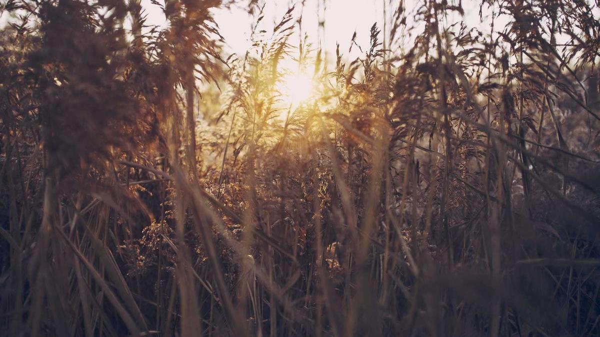 中秋节月亮什么时候出来