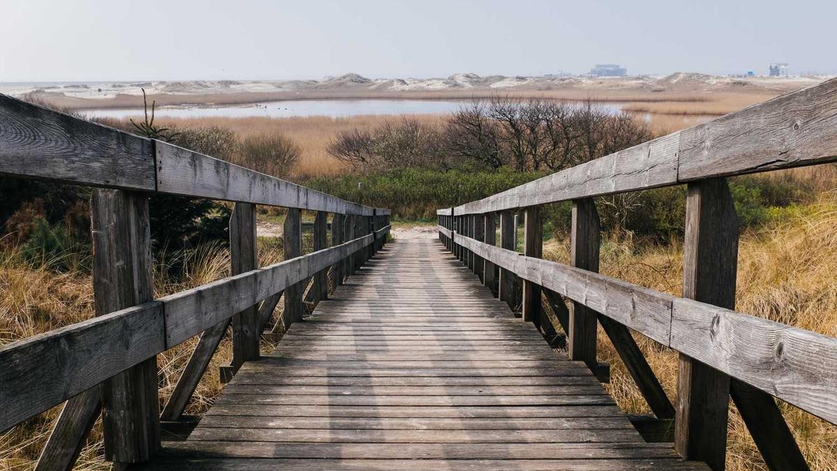 QQ会员能不能看到别人隐身?