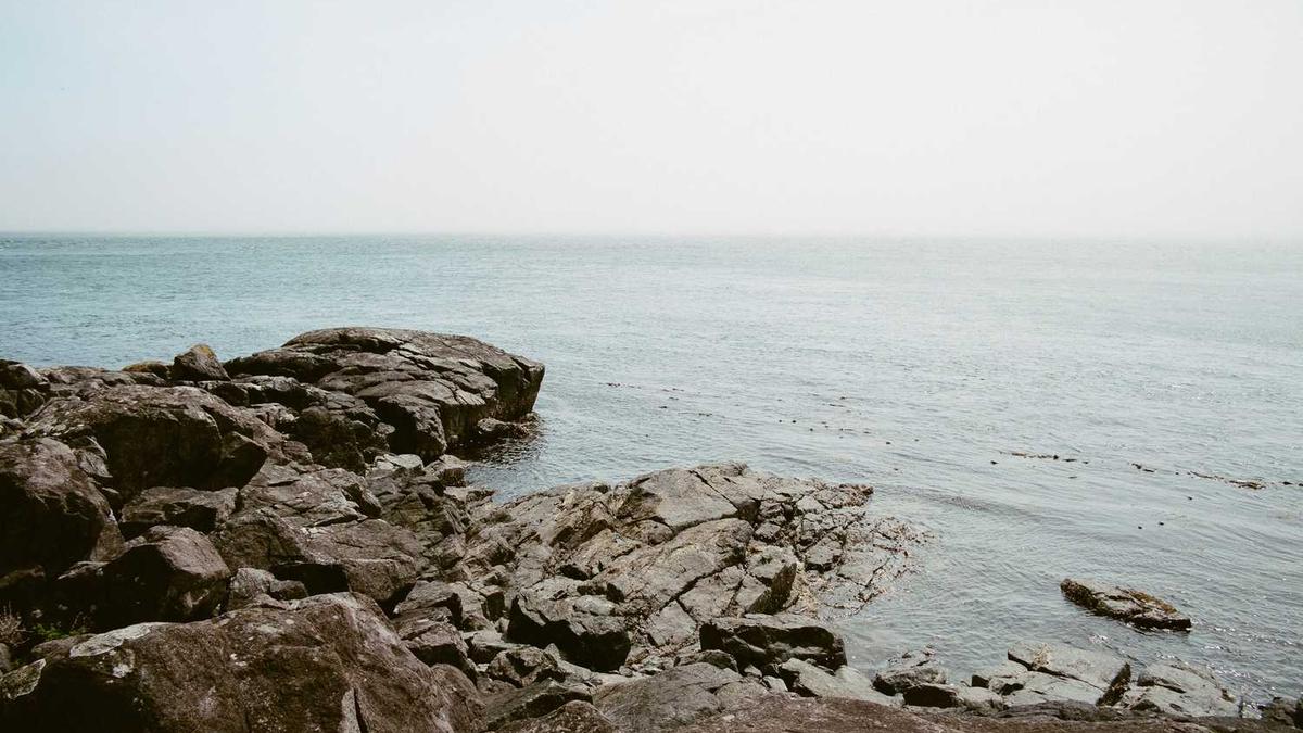 清江.光绪元宝,卖多少钱