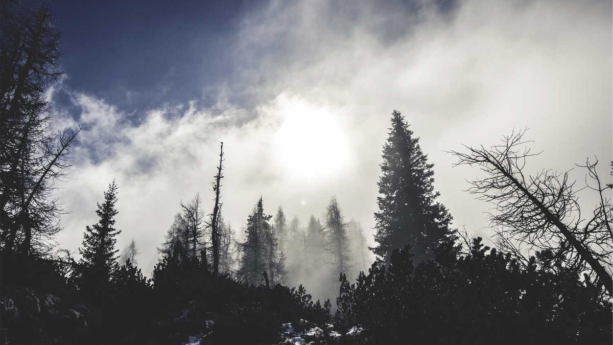 2025中秋晚会名单