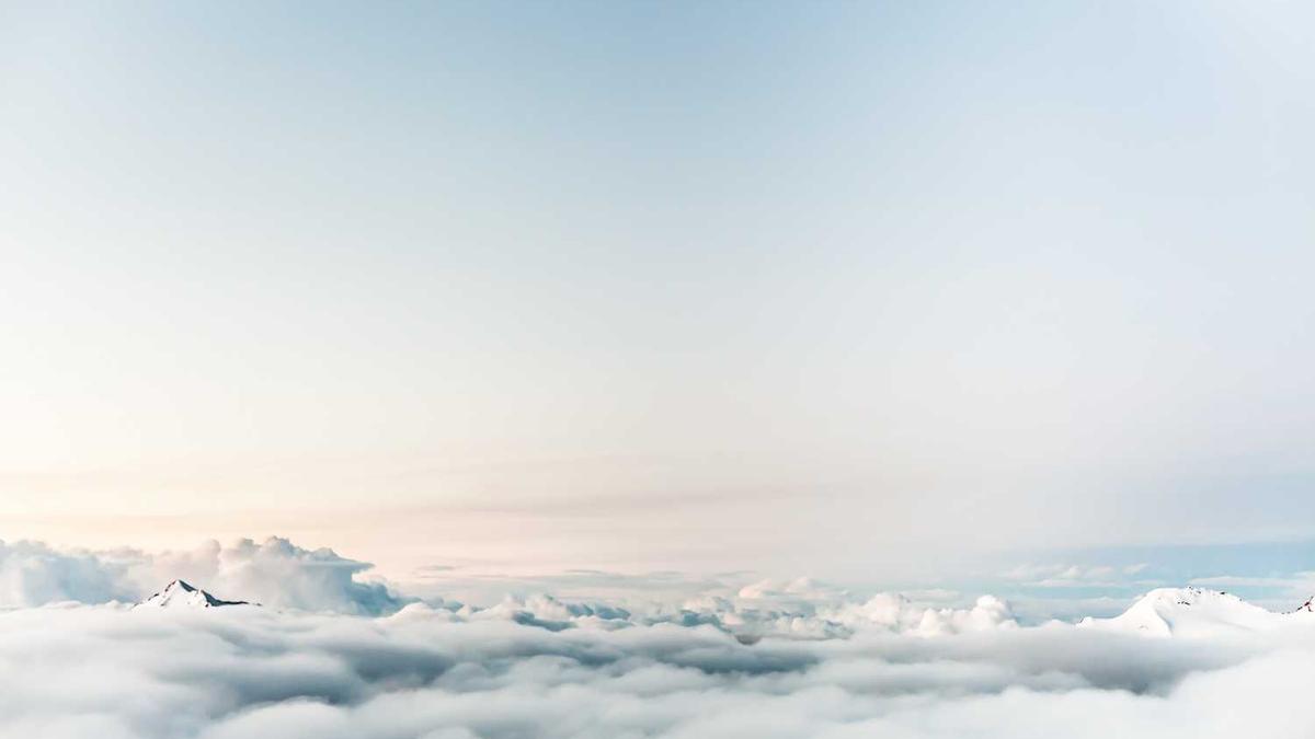 喝茶到底能不能减肥