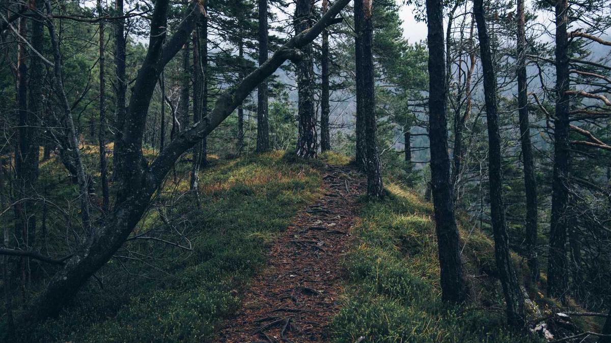 电影<黑太阳731>是谁拍的?