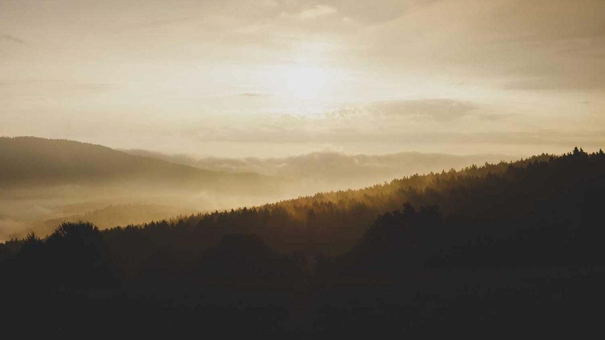 在线免费观看电影的网站有哪些