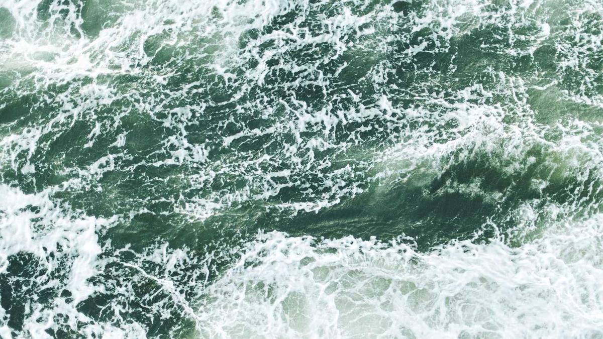 实体书小说推荐