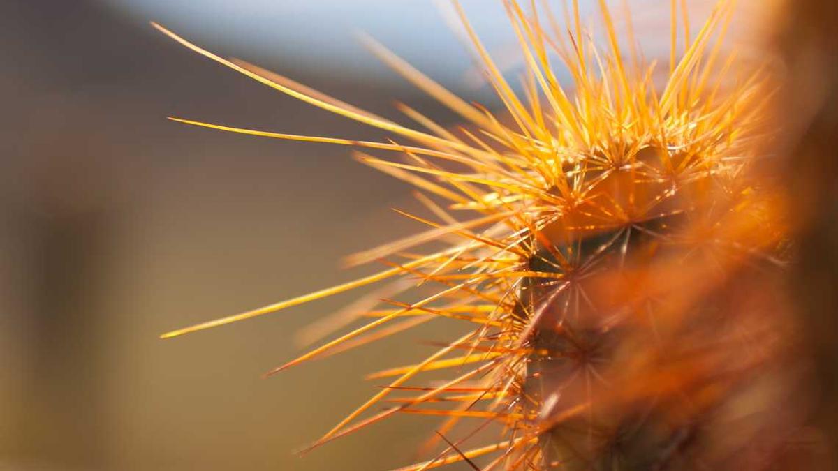 50本经典穿越小说推荐