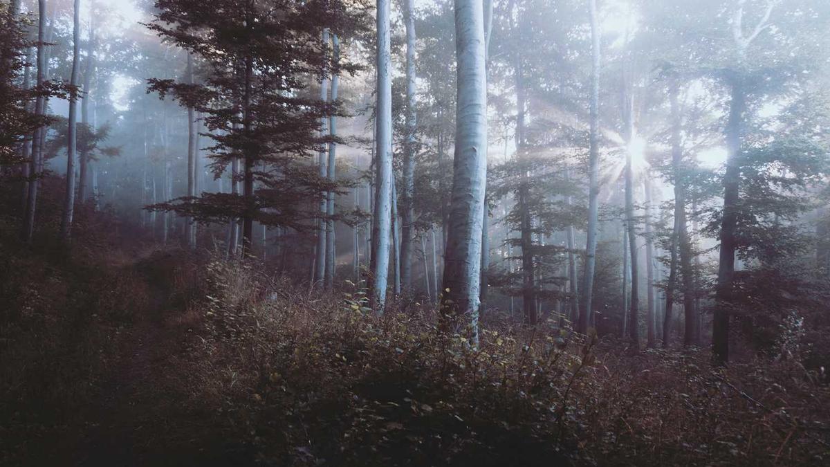 上海酒店厨房设备回收酒店室内拆除