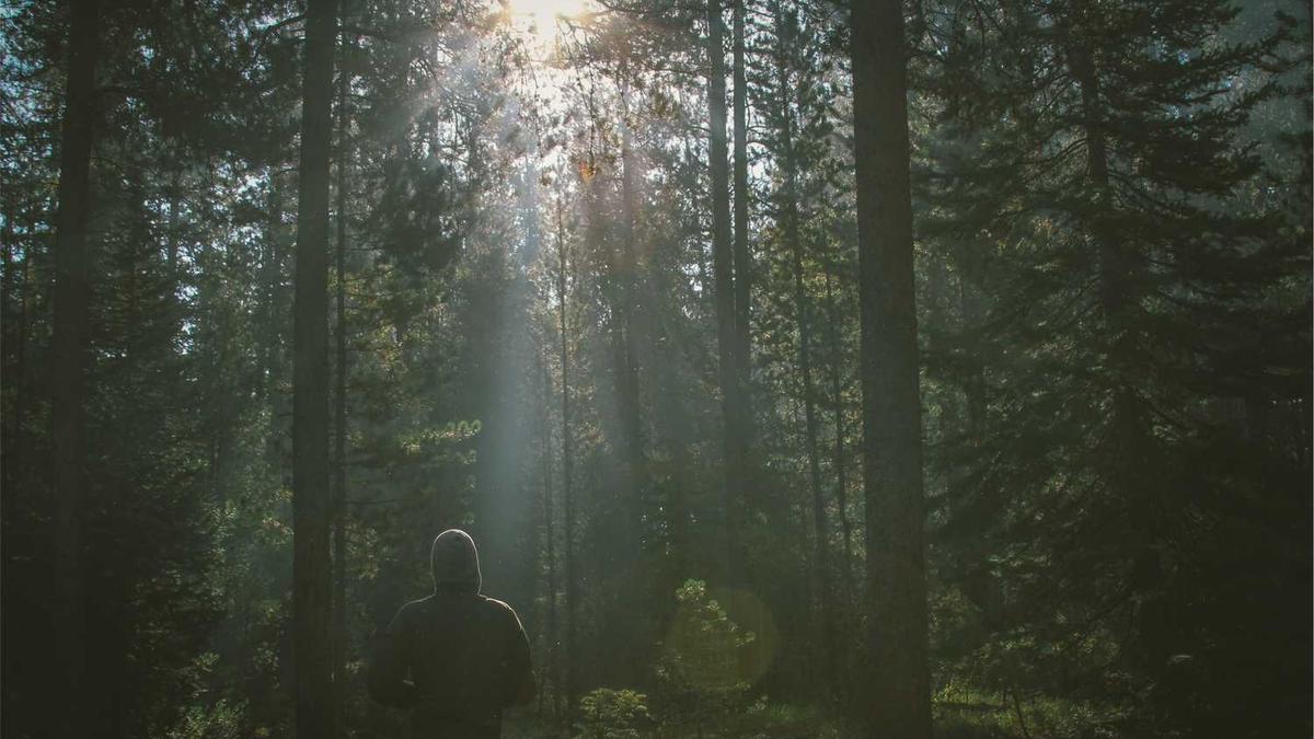 sm大圈小圈属性区别