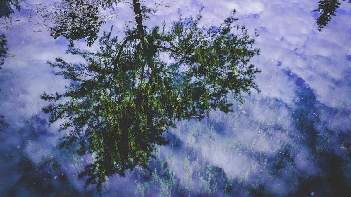 颈椎治疗仪什么牌子好?