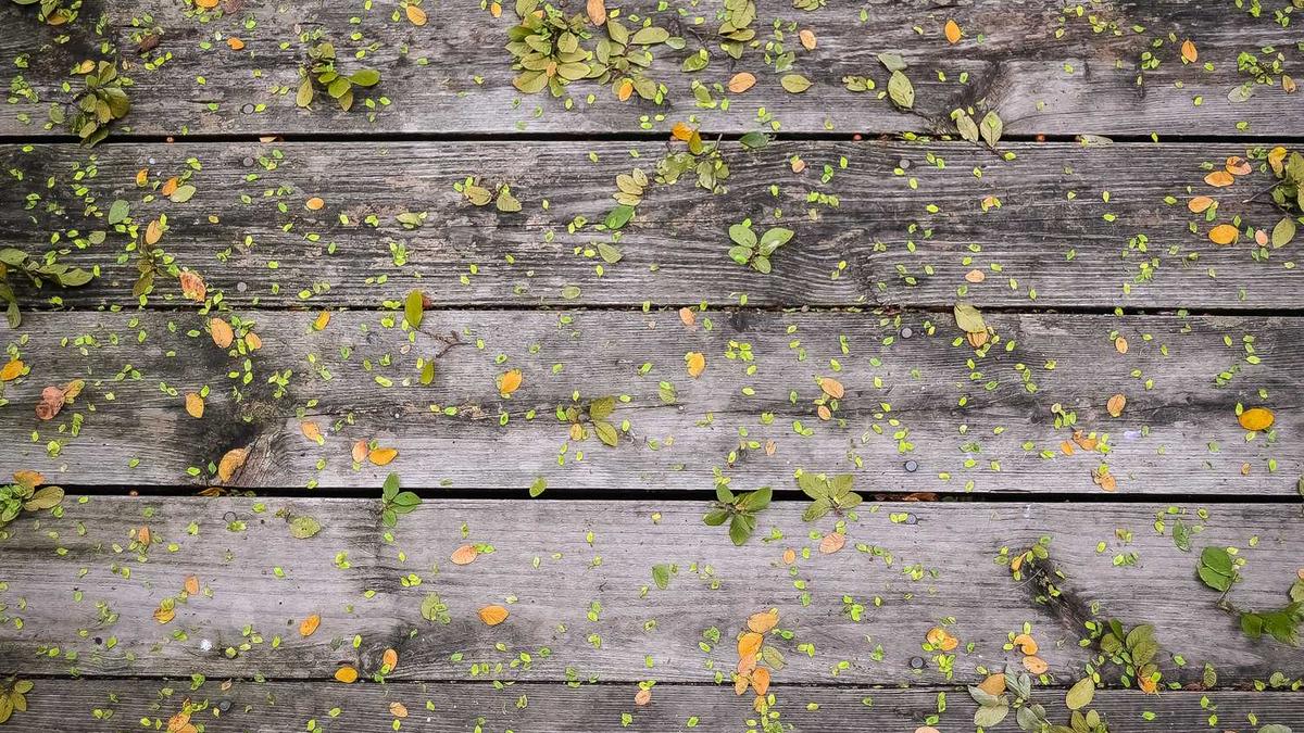 十大颈椎按摩器品牌排行榜