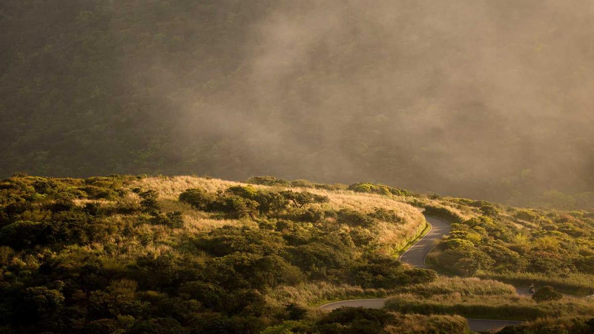 按摩器哪个牌子质量好性价比高,按摩器十大名牌排行榜,按摩器哪个牌子好...