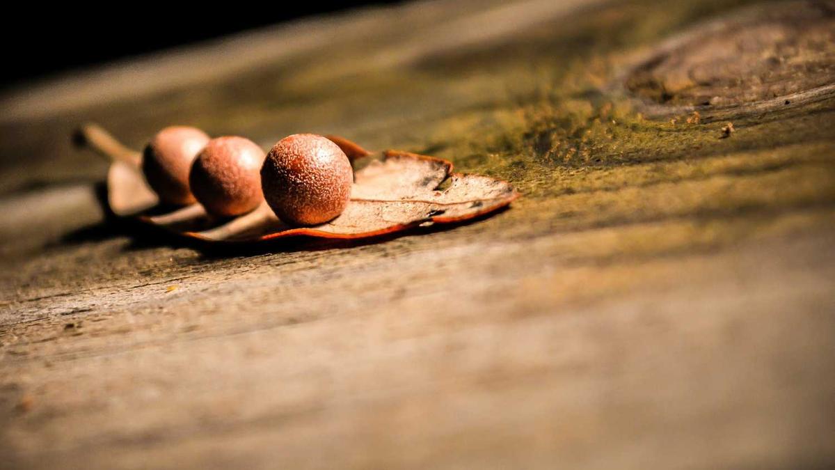 喝茶必备朋友圈高级文案,建议收藏