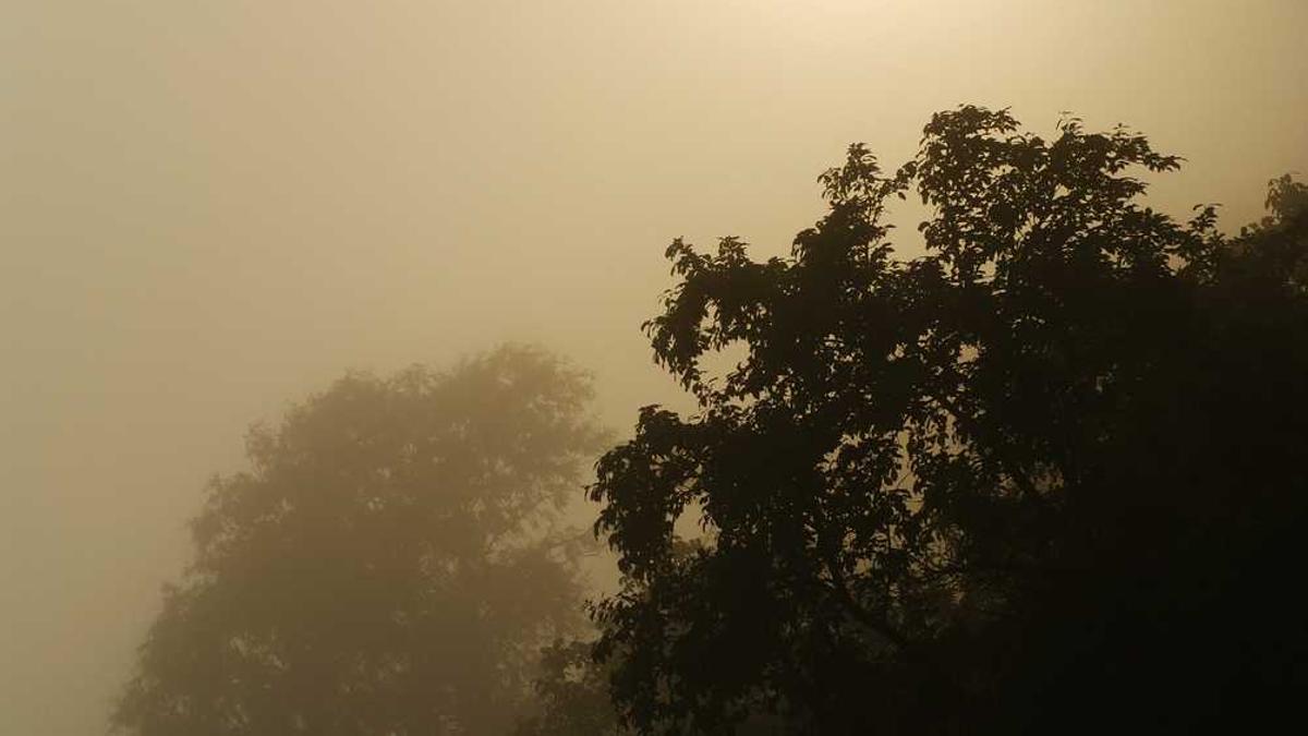 最新消息怎么造句