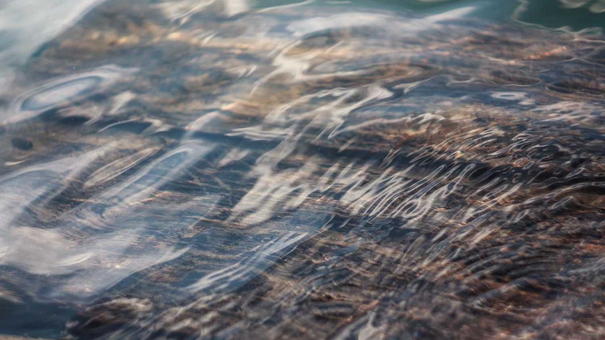 国家医学考试网入口?