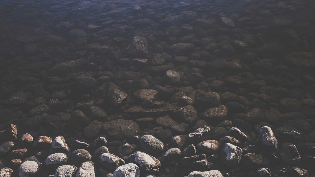 去上海买房子多少钱