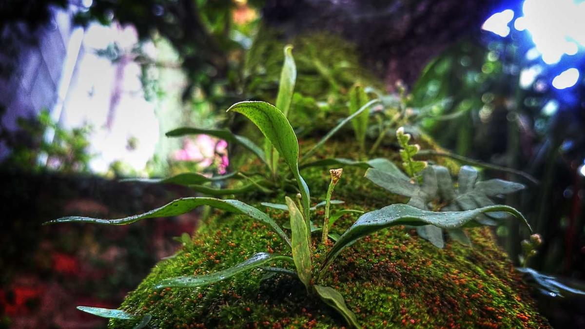 上海有哪些公寓品牌