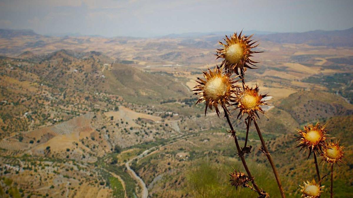 百度新闻和今日头条有什么区别吗?