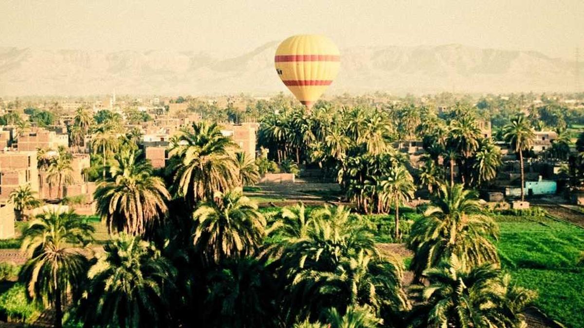 高途谢欣然老师毕业什么学校