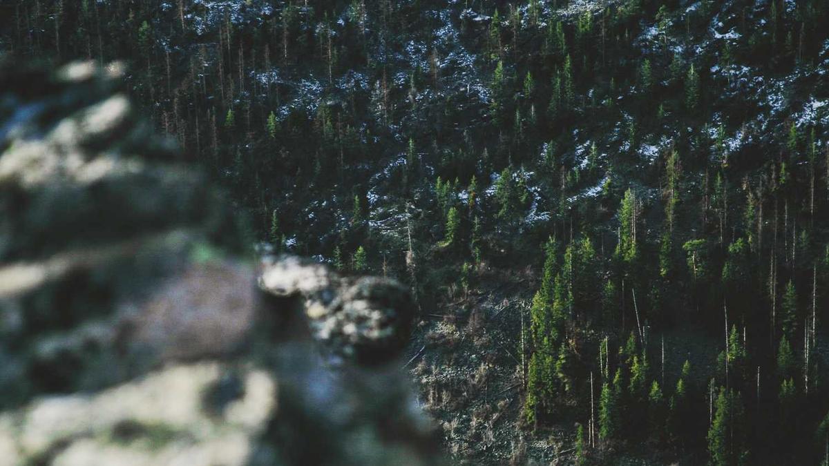 深圳坪山哪里有品茶喝茶工作室高端的?