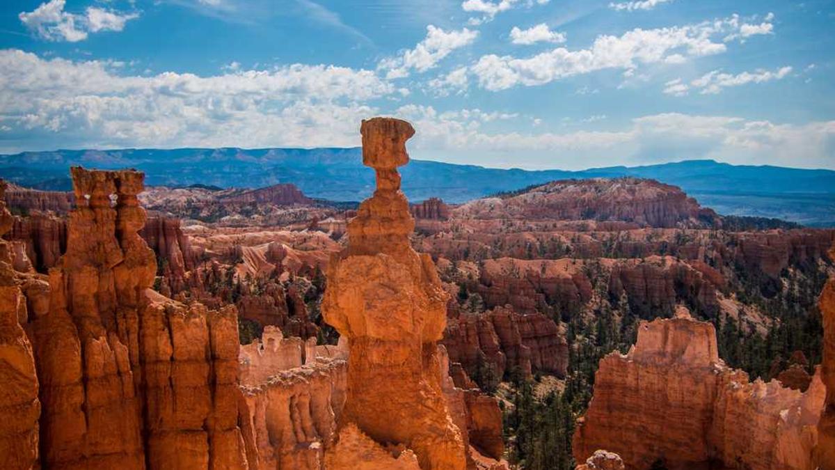 众信旅游公司简介,全方位解读众信旅游公司的发展历程与服务理念_百度知 ...