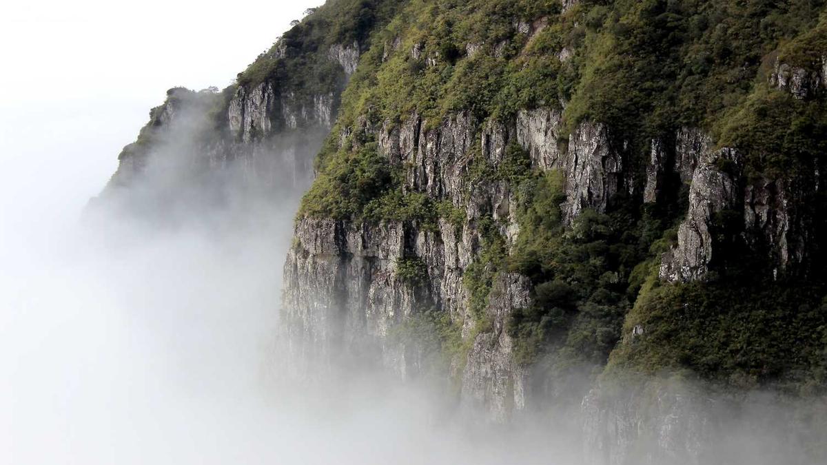 谢欣的个人经历