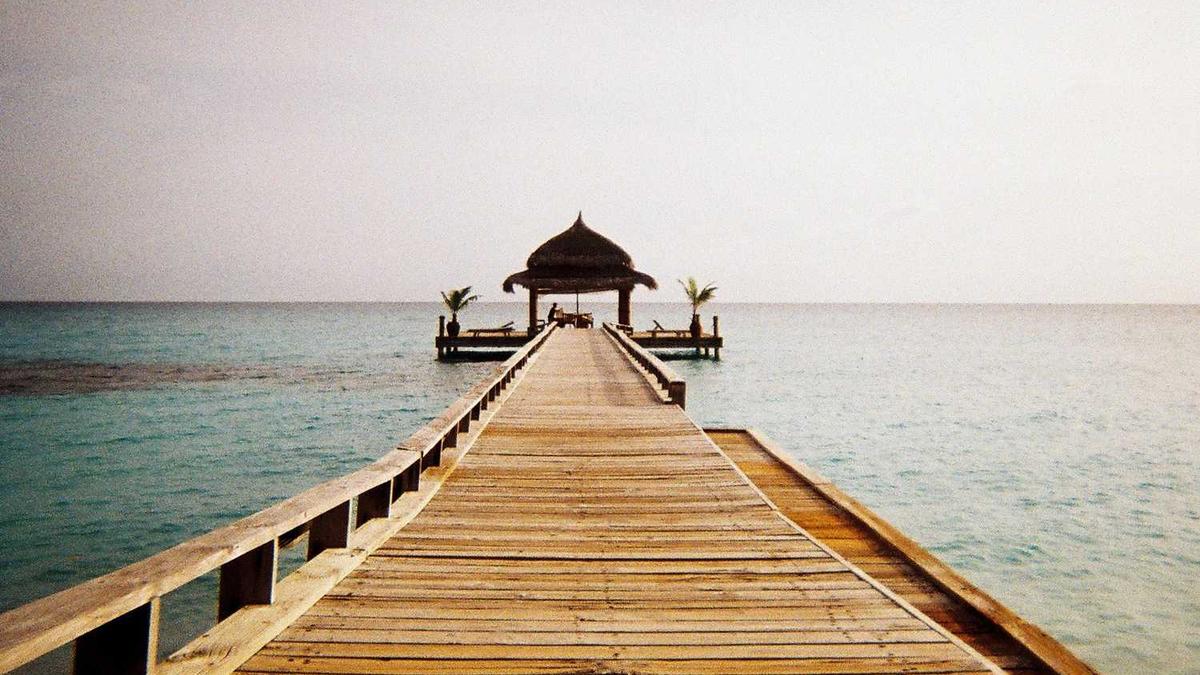 为什么很多高分选深圳大学而没选暨南大学