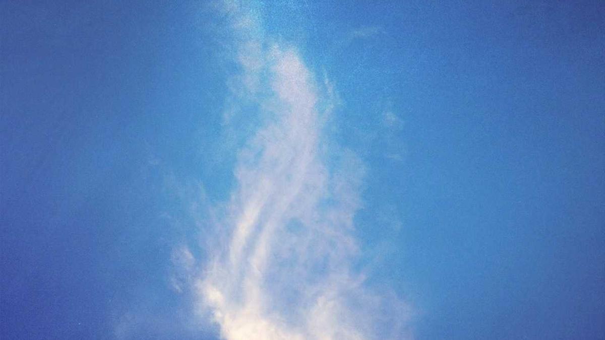 infj八维阳面和阴面有什么区别