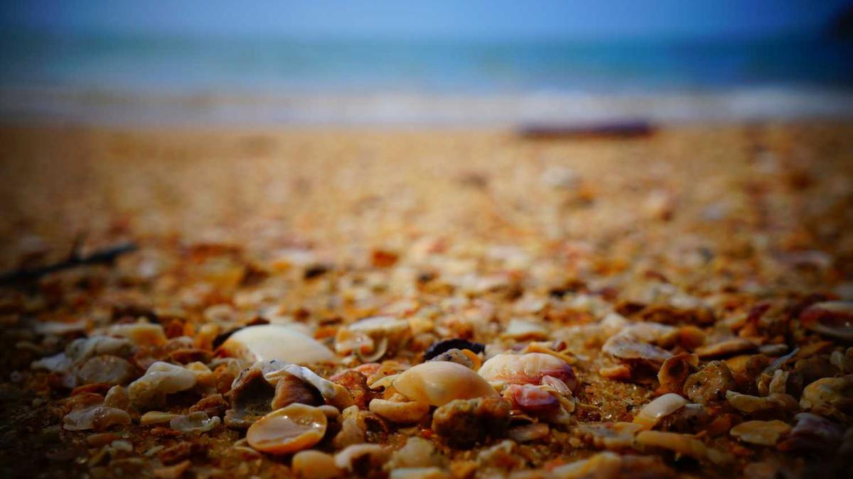 威海旅游十大必去景点