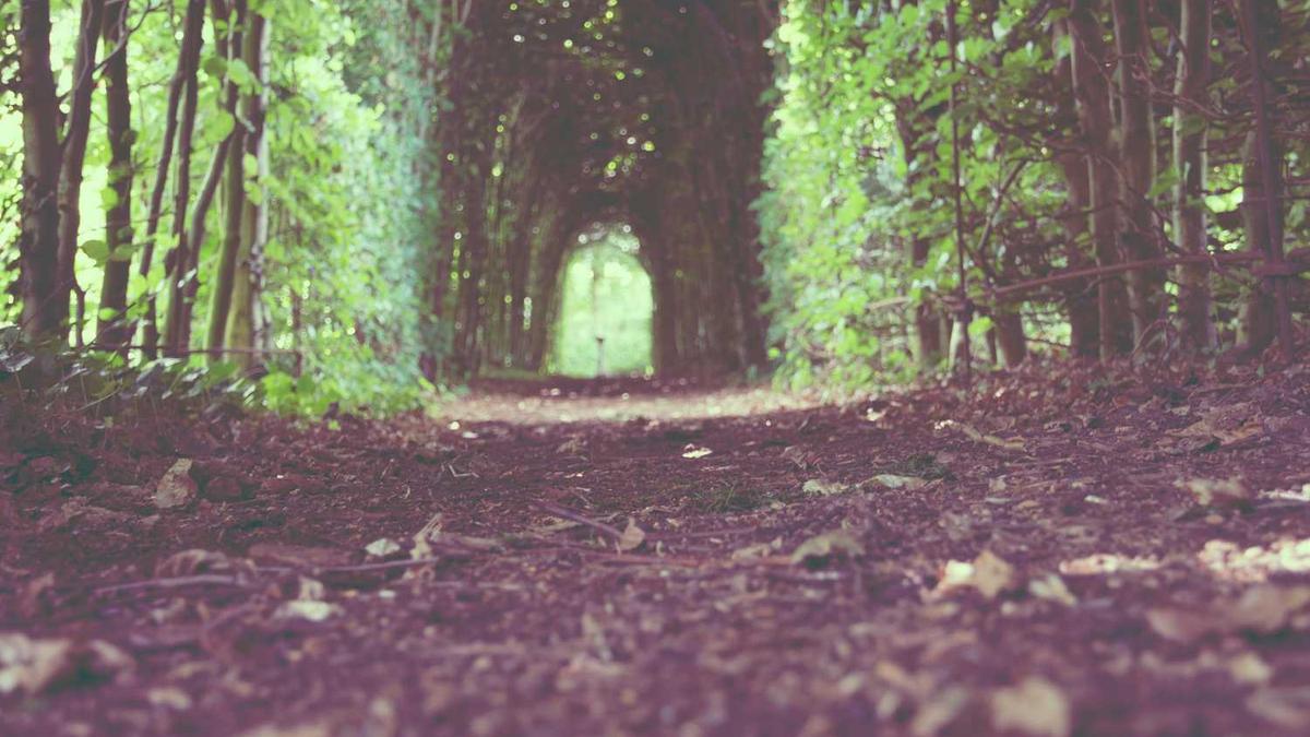 威海必去的十个景点景点