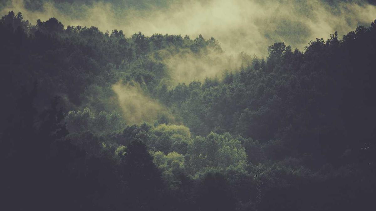 山西忻州由来和历史简介