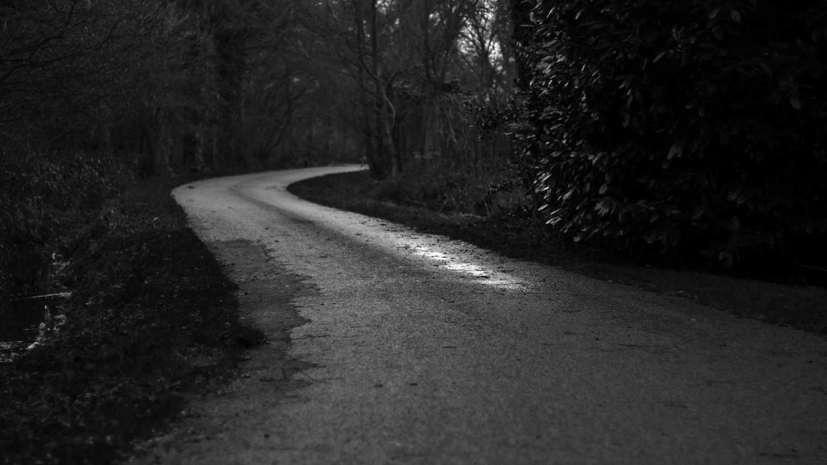 科技节开幕式怎么弄?