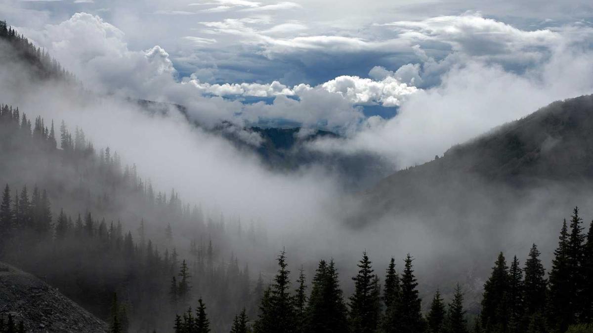 上海正规的盲人按摩或者中医按摩店