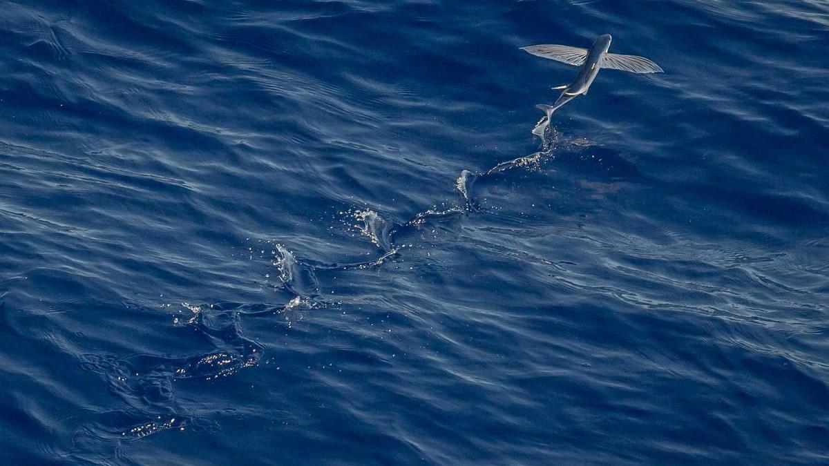 资阳环境科技职业学院是公办还是民办大学?