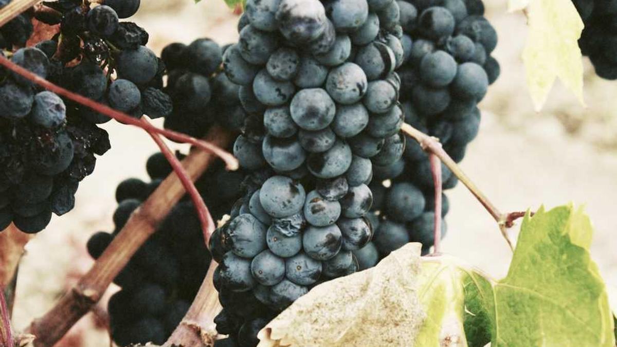 住宅新规 5 月 1 日实施:4 层及以上必须装电梯,这些变化将重塑居住体验...