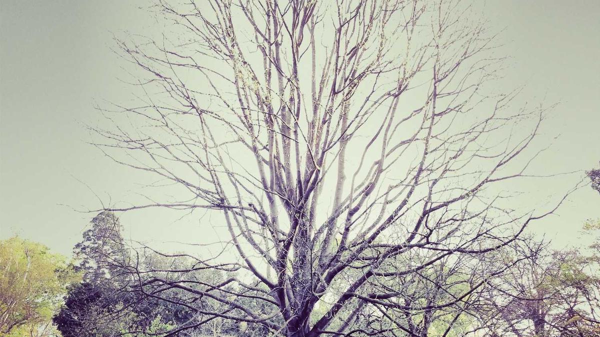 百度地图株洲至常德路线