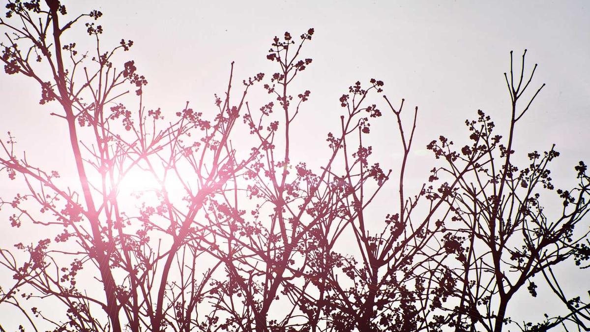 从常德到株洲多少公里,租车大概多少钱