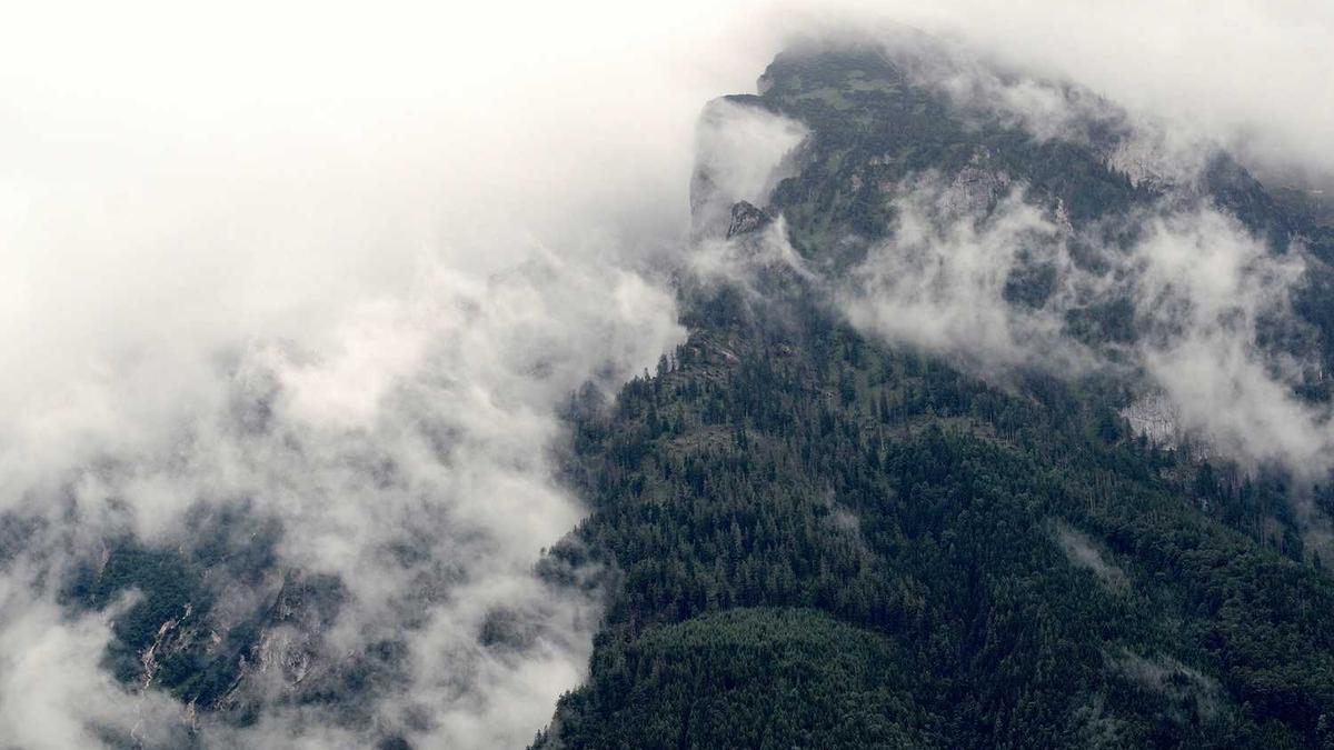 株洲到常德的汽车在哪坐