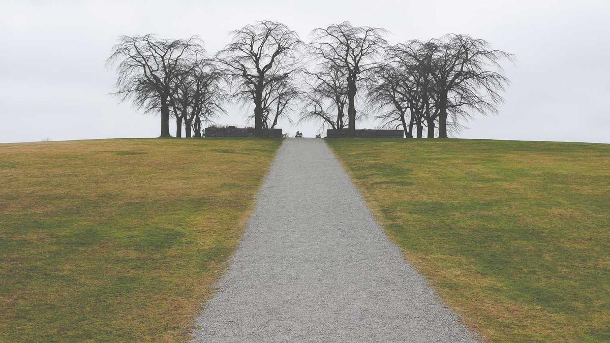 邯郸市教育局局长姓什么