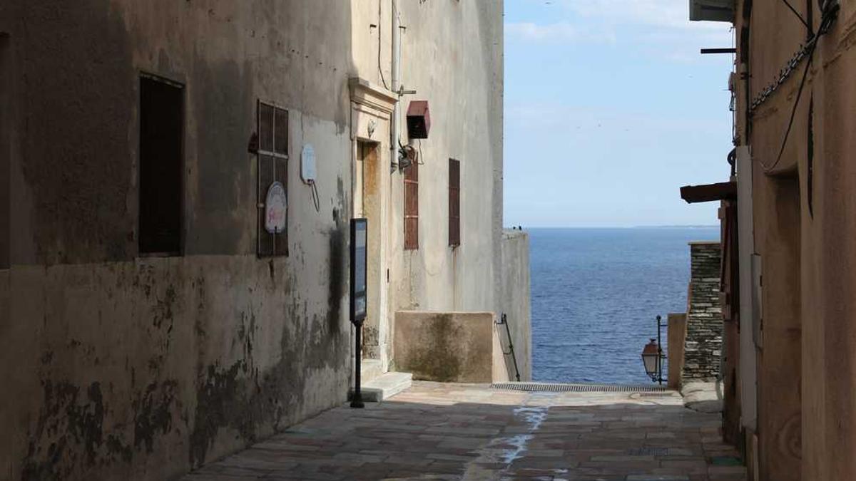 731电影真实事件详情