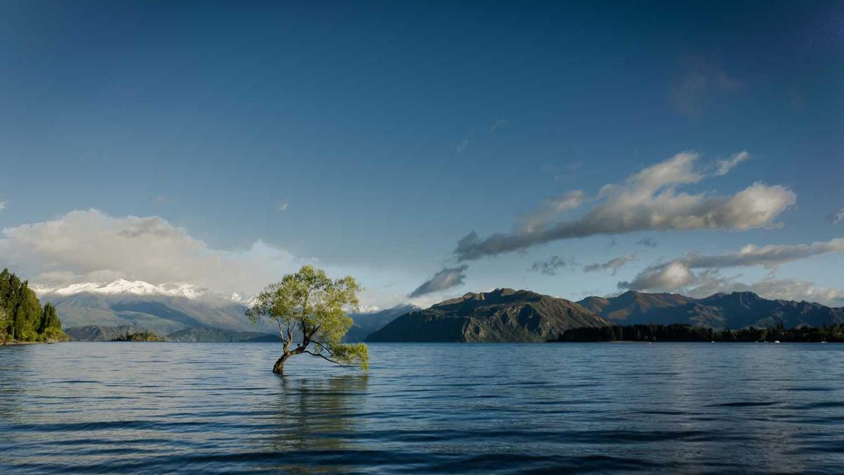 哪个网站可以免费看小说最好的免费在线小说阅读网站