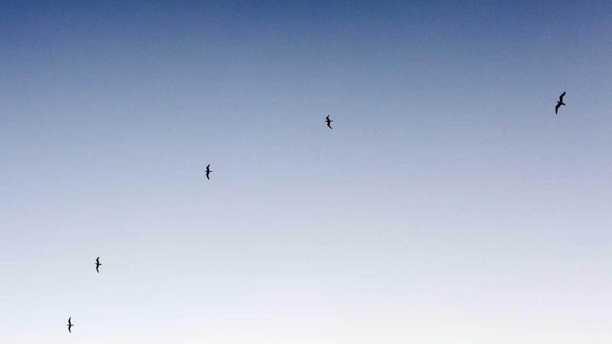 徐州15天天气预报--中国天气网 wap.weather.com.cn