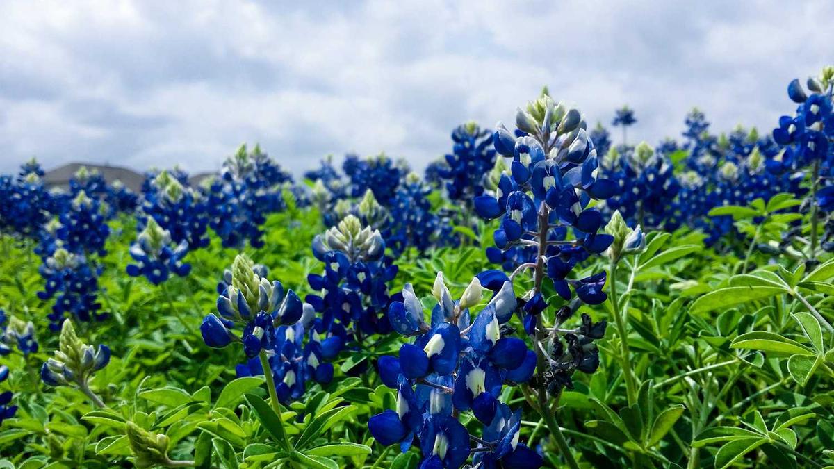 宁德市房贷利率2025