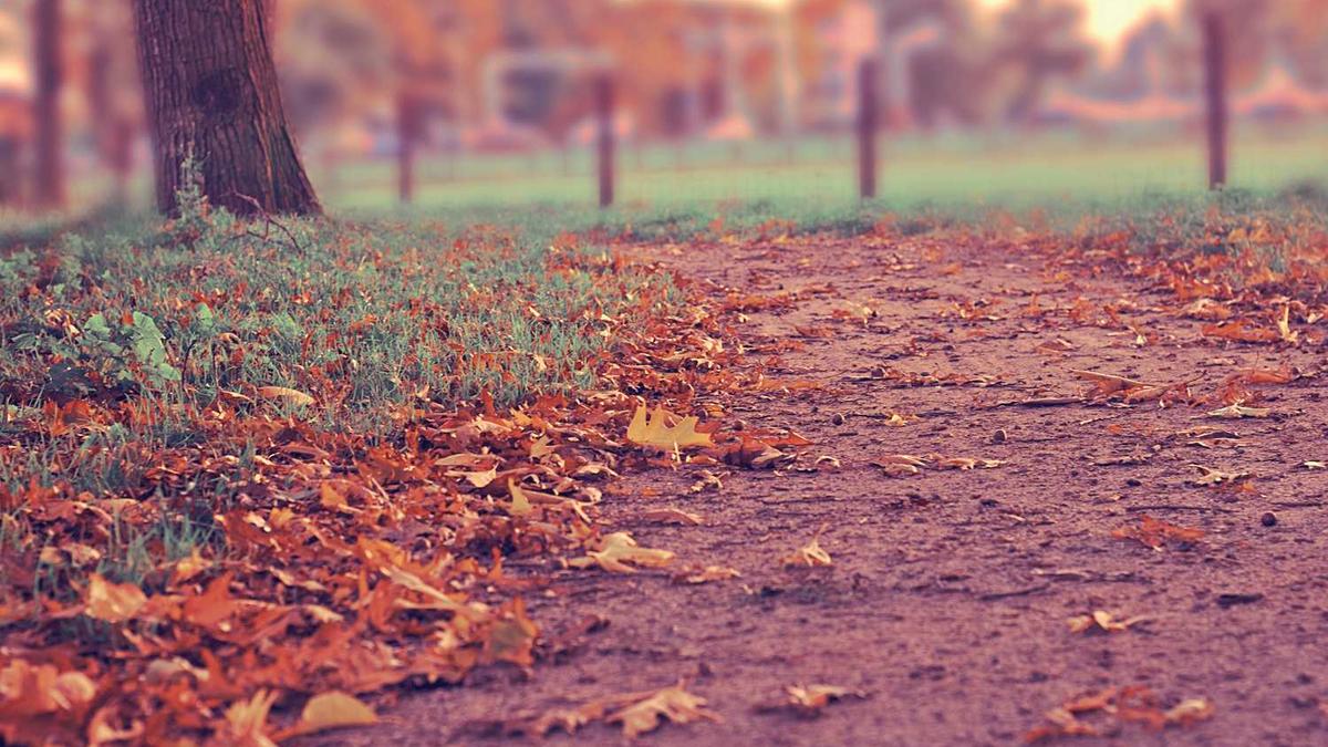 株洲哪个区最繁华,有什么好玩的,市中心在哪啊