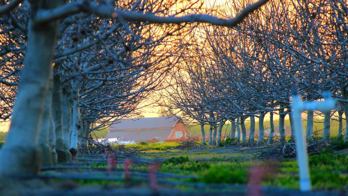 襄阳和珠海哪个收入高